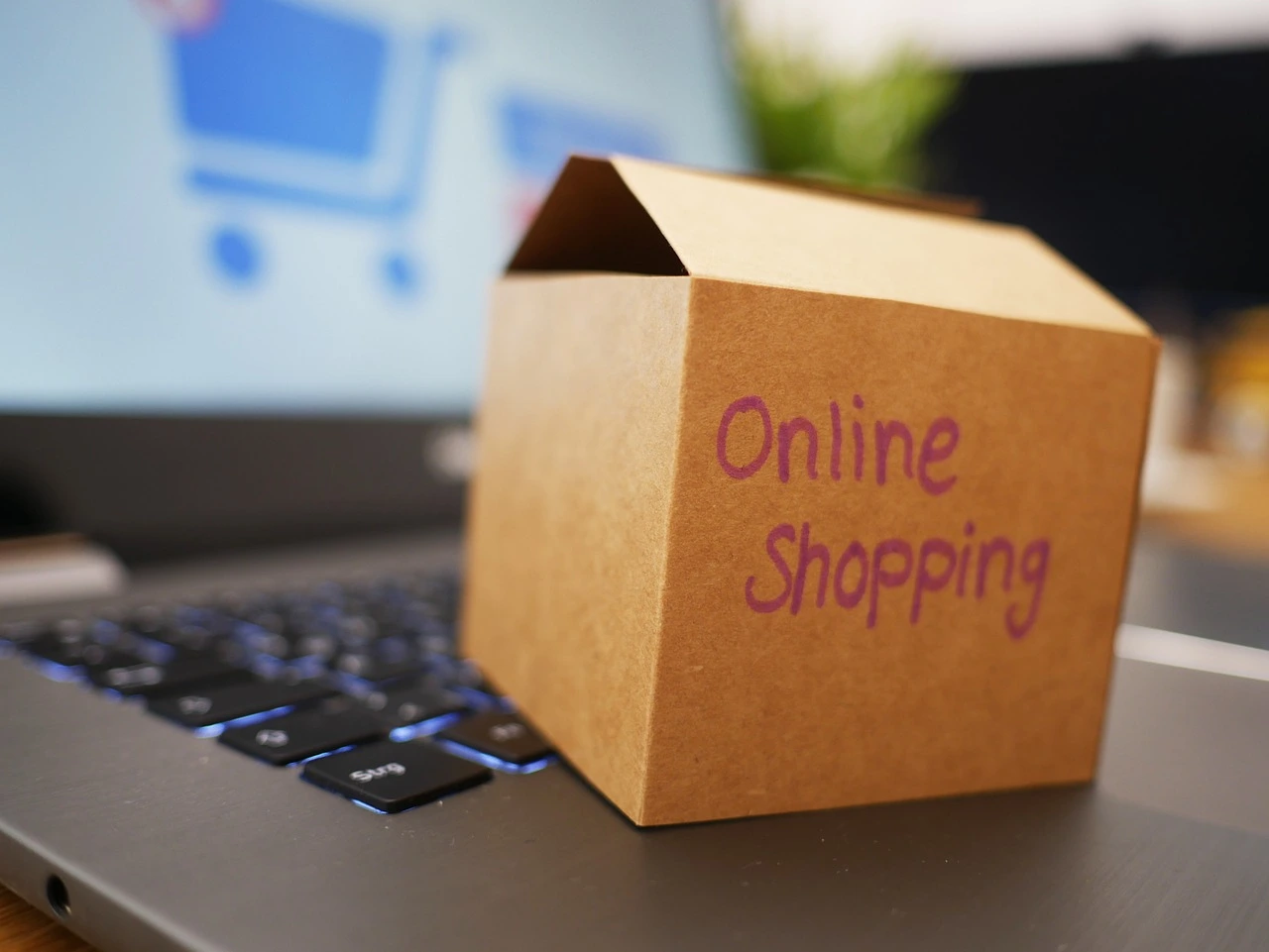 Ecommerce Blog